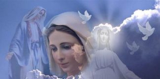 Vous allez aujourd’hui être récompensés car vous êtes revenus à l’essentiel